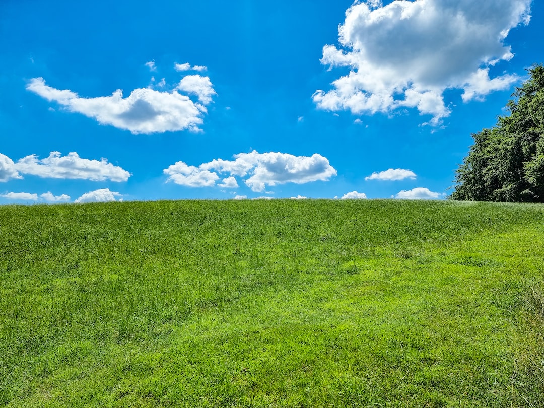 a grassy field under a blue sky with clouds