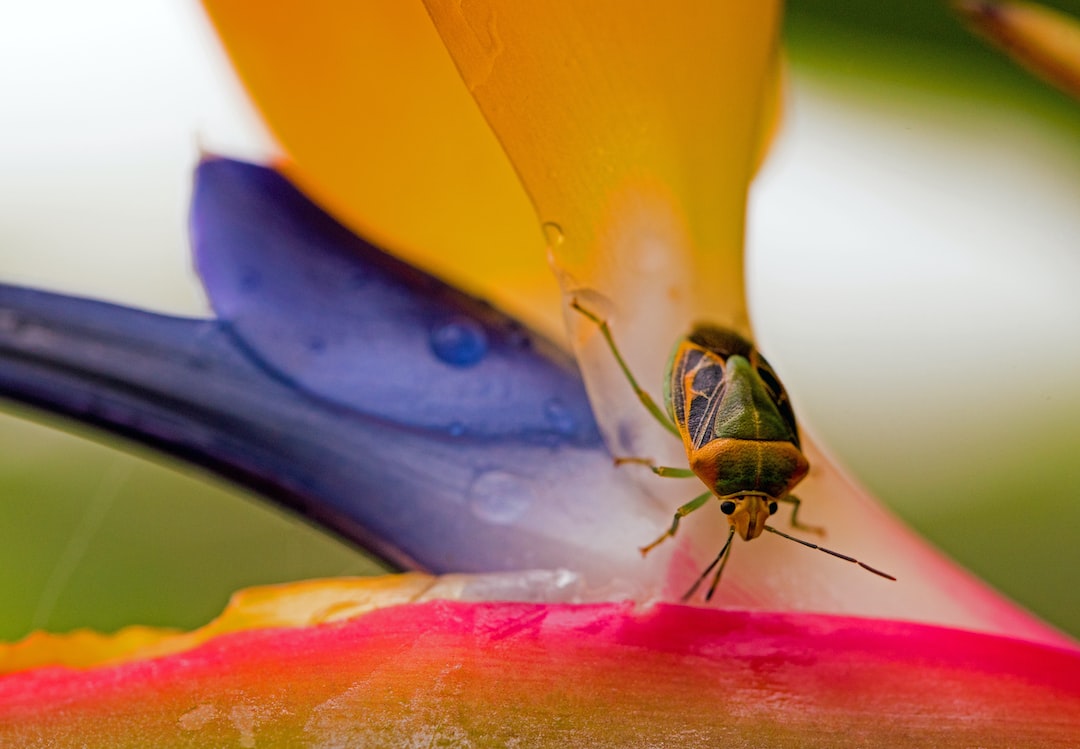 Binance : quand un bug en « stoppant » un autre