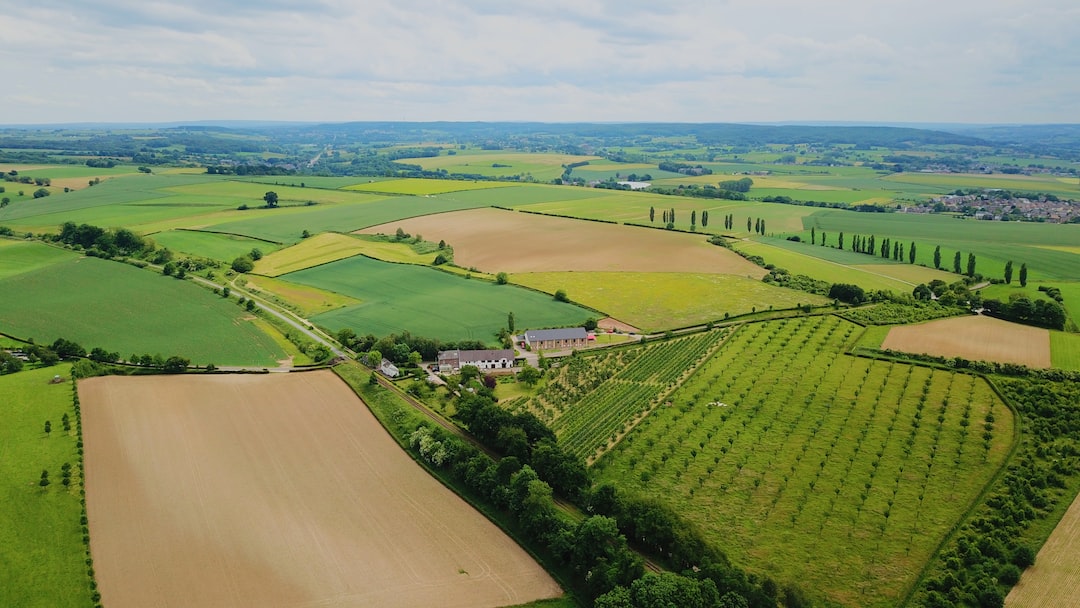 aerial photography of green grass field during daytime