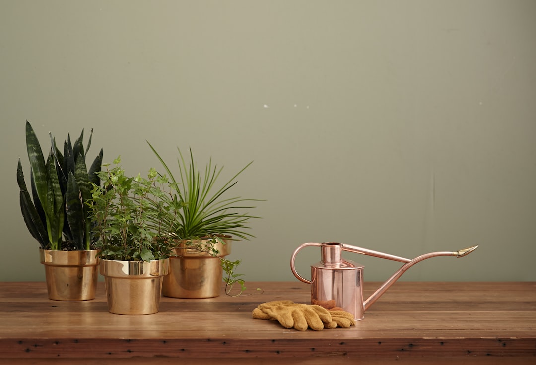 brass-colored garden water can on brown table