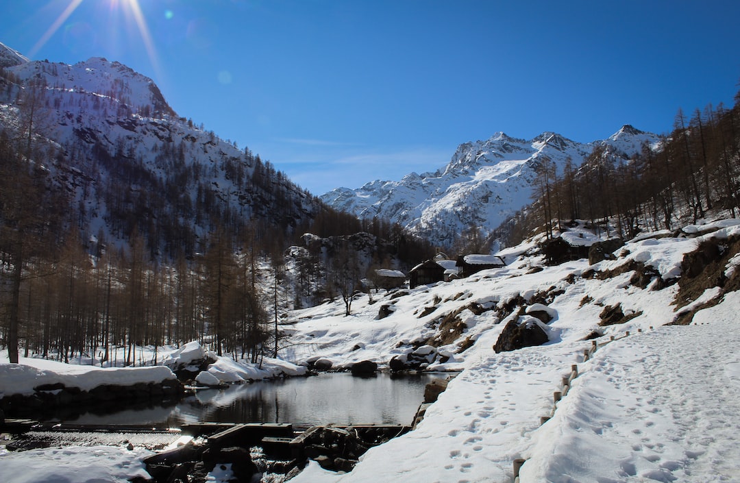 snow covered mountain and trees during daytime