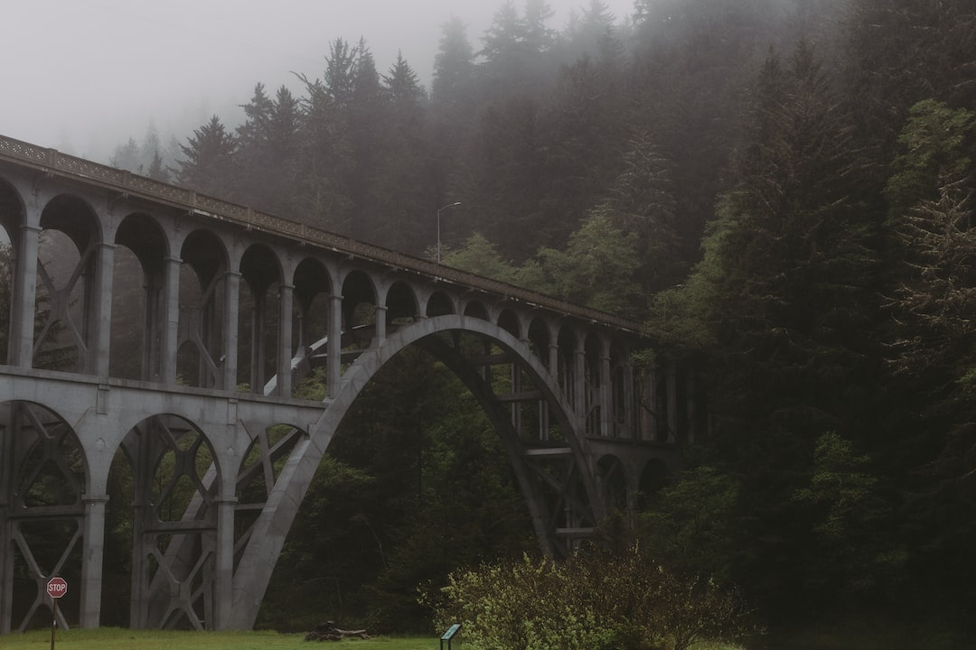 a bridge that is in the middle of a forest