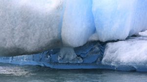 L’IA peut-elle révolutionner l’étude des icebergs?