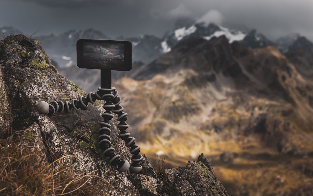 black and white camera on brown grass during daytime