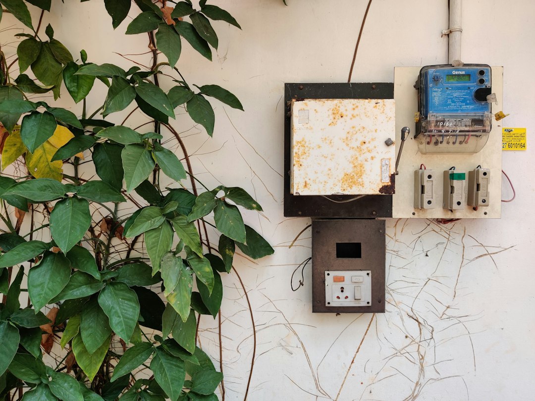 a wall with a phone and a plant next to it