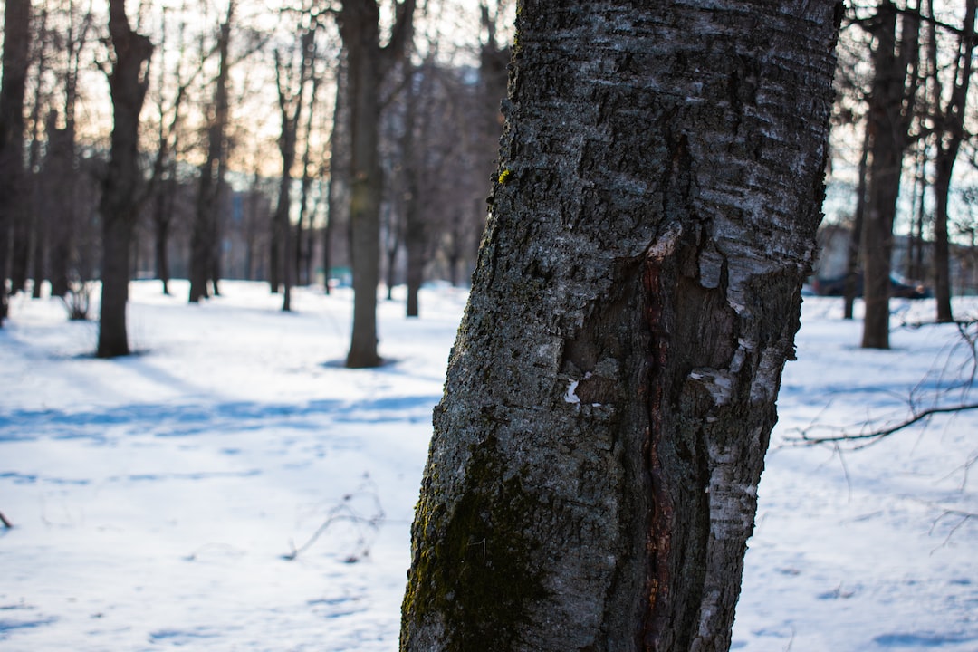 wood log