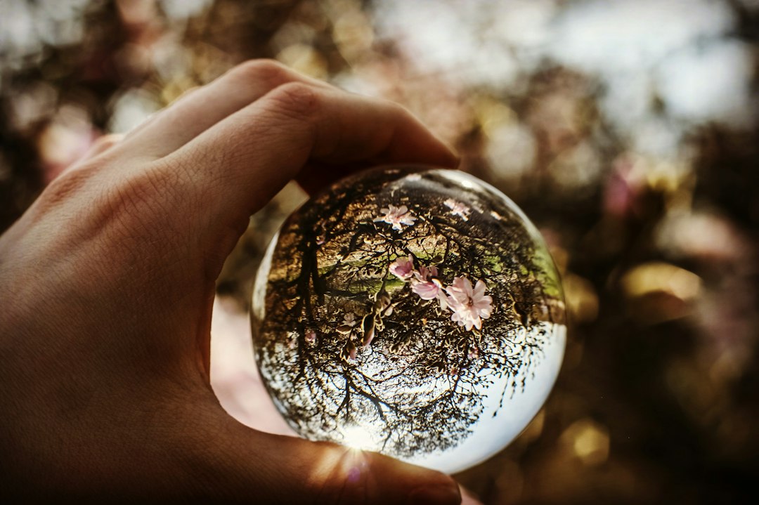 person holding ball focus on tree