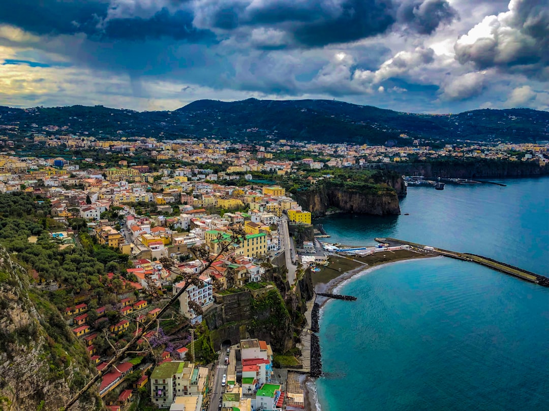 aerial photography of buildings beside seashore during daytime