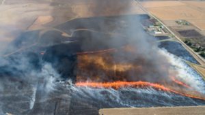 La technologie peut-elle nous sauver des incendies de forêt ?