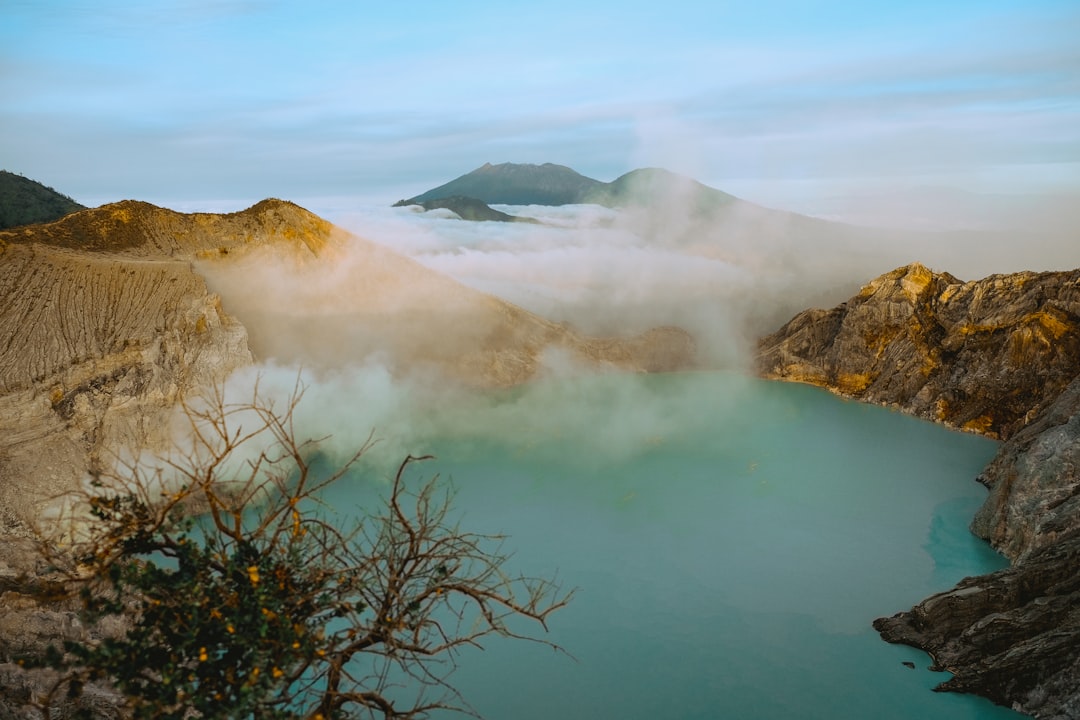 leafless tree on lake at daytime