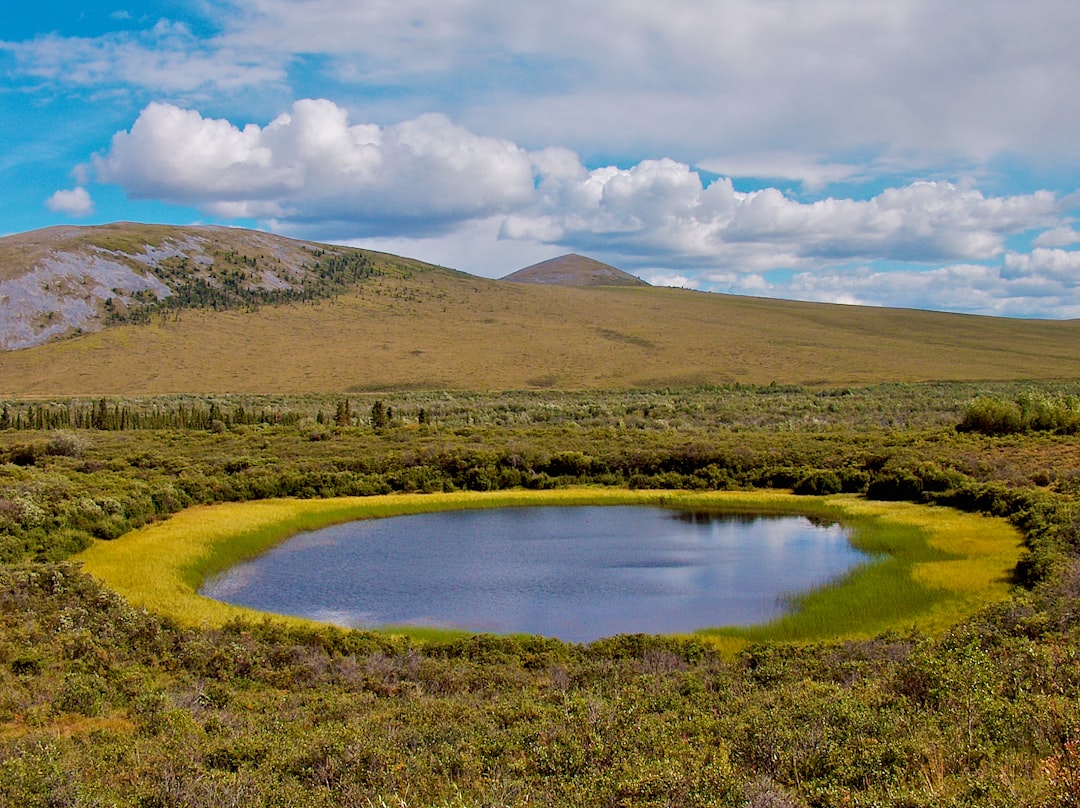 landscape photograph of lake