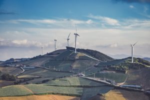 Les éoliennes sont-elles vraiment responsables de la mort des oiseaux?