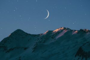 La Lune : la prochaine biobanque de la biodiversité ?