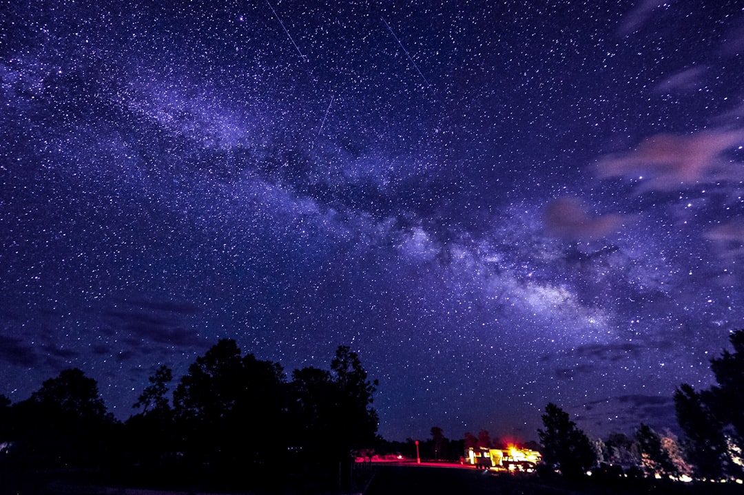 trees and lighted building under milky way