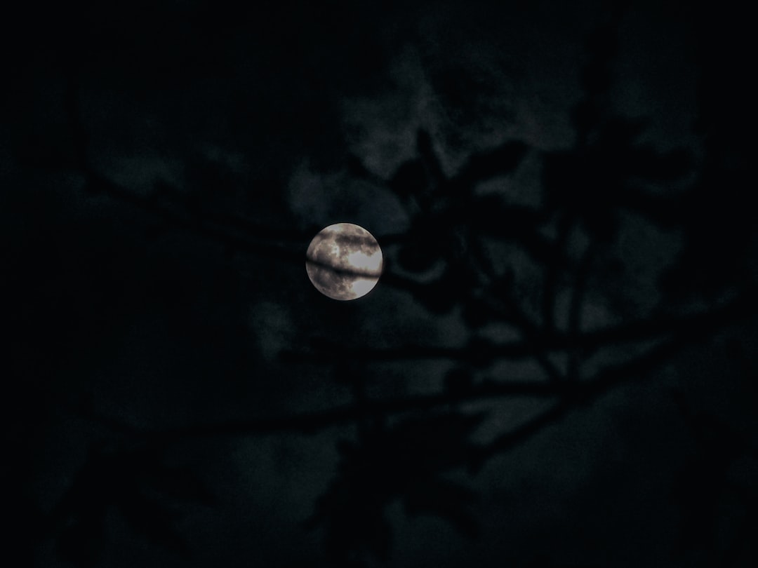 grayscale photography of full moon