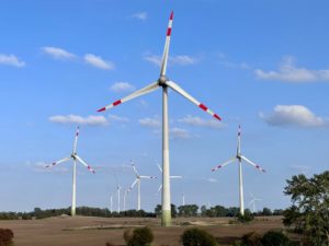 Éoliennes et oiseaux: Panique inutile!