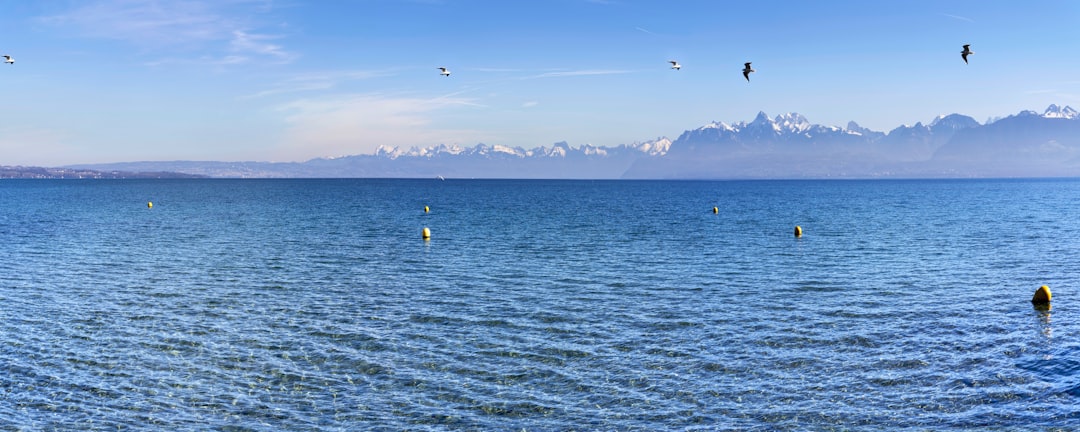 people in body of water during daytime