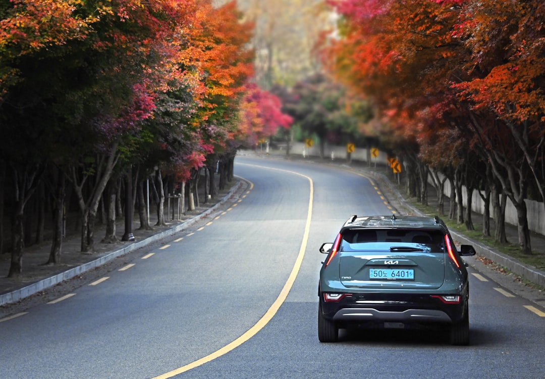 a car driving down a road with trees on either side of it