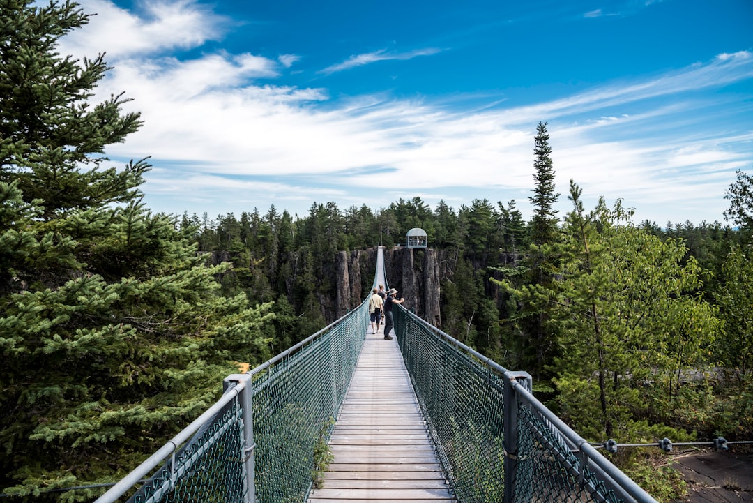 people walking on bridge between pine trees