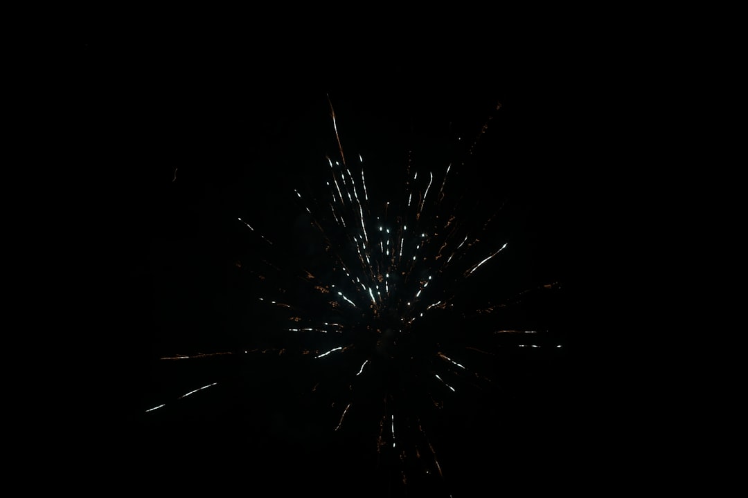 a fireworks is lit up in the dark sky