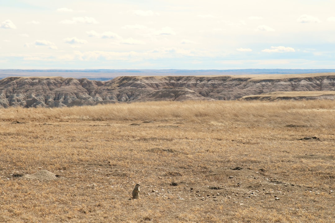 brown grass field near brown mountain under white sky during daytime