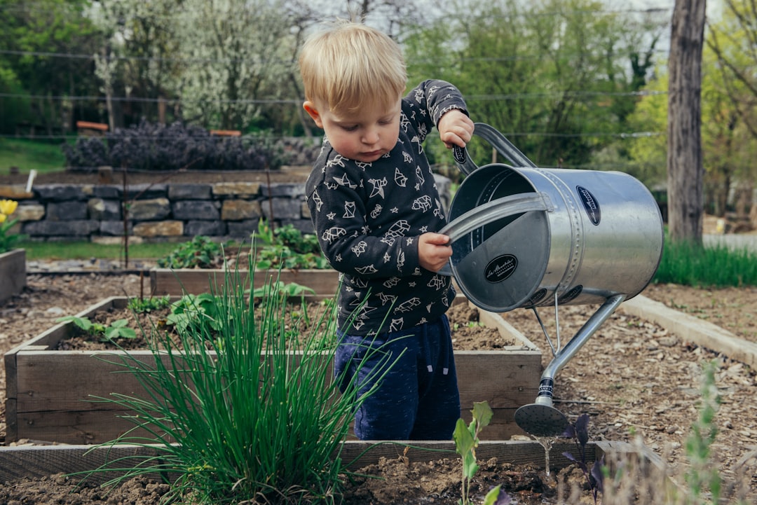 Plantes et gadgets, la saga chlorophylle