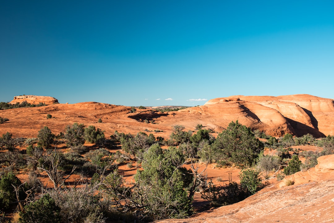 A man riding a motorcycle down a dirt road